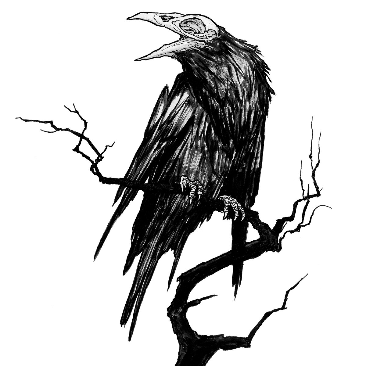 Yannick Bouchard